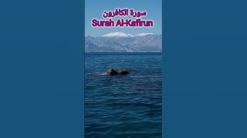 سورة الكافرون #القرآن_الكريم Surah Al-Kafirun #quran #qurantilawat #عبدالرحمن_السديس