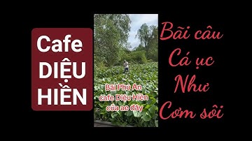Bãi câu cá tra tự nhiên Trung tâm TP Cần Thơ | Cafe Diệu Hiền Cần Thơ | Bãi câu tự nhiên cá ục nhiều