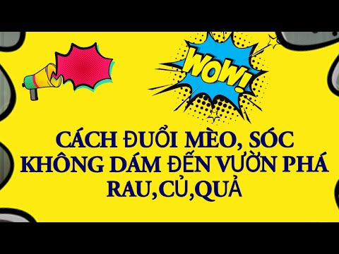 Video: Cách Ngăn Mèo Leo Lên Bàn