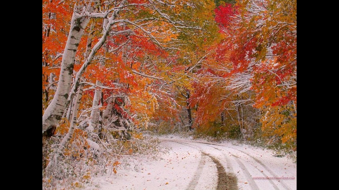 October first. Поздняя осень. Ноябрь природа. Осень снег. Конец осени.