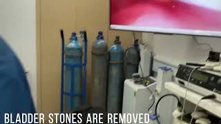 Dog Bladder Stone Cystoscopy --2.8Mm Slim Diameter Endoscopy Eu-120