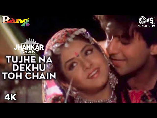 Tujhe Na Dekhu Toh Chain (Jhankar) Divya Bharti | Kumar Sanu, Alka Yagnik | Rang | Kahin Mujhe Pyaar class=