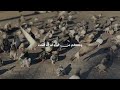 زماني أجبنا لماذا كبرنا حالتي