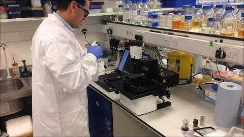 Easy Decontamination of the Lumascope with 70% Ethanol