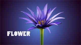 Flower Animation - making of screenshot 1