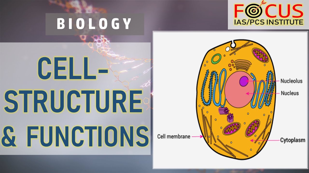IAS PCS Biology LECTURE-11: Cell - Structure & Functions (Class 8 Chapter 8)