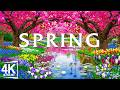 The Best Spring Flowers 🌸 Top Blossoms Over Green Fields &amp; Colorful Landscapes in Full Bloom