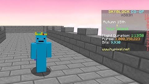 Best HYPIXEL SKYBLOCK DUPE MOD 2024 still working