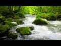 4k Forest Water Stream Nature Sound. Relaxing Stream Sounds/ Sleep/ Meditate/ Yoga/ 10 hours.