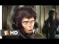 Planet of the Apes (2/5) Movie CLIP - Human See, Human Do (1968) HD