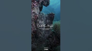 سورة الرحمن بصوت الشيخ ياسر الدوسري #quran #اكسبلور