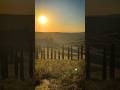 Visit Tuscany
