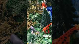 #school #project #rainforest #shoebox #tropical #viral #shorts #short
