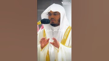 سورة المؤمنون