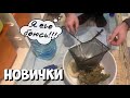 Забираю новых аквариумных жителей)