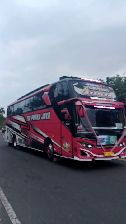 telolet basuri po Tri Putra Jaya 'AZZALEA' #basuri #teloletbus #teloletbasuri