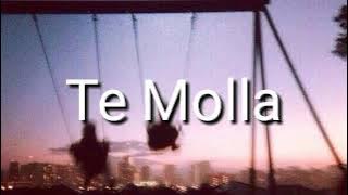 Te Molla песня из Тик Ток