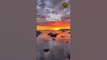 سورة طه - قال رب أشرح لى صدرى ويسر لى أمرى - القارئ مشارى راشد العفاسى