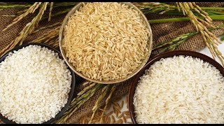 Фальшивый рис из Китая, как определить