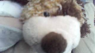Webkinz Contest ~ Closed, Sorry