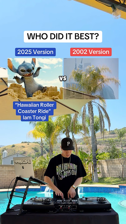 Who did the 'Hawaiian Roller Coaster Ride' best? (Lilo & Stitch)