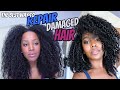 How To Repair Damaged, Neglected, Dry Brittle Hair | Natural Hair | Melissa Denise