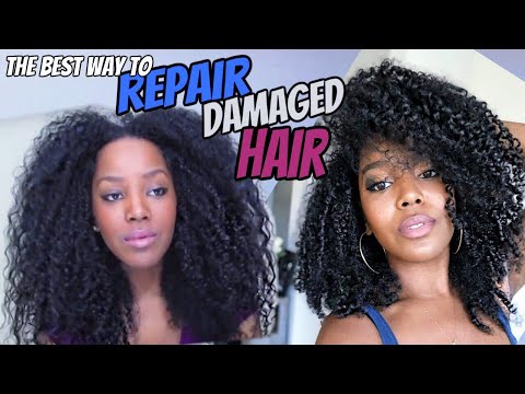 How To Repair Damaged  Neglected  Dry Brittle Hair Natural Hair Melissa Denise
