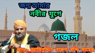 জন্ম আমার নবীর যুগে হলে কেমন হতো aminuddin rezbi Saheb|মাওলানা আমিনুদ্দিন রেজভী সাহেব