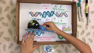 Qi Qi's breakthrough junior challenge video : A game changer in genetic engineering : CRISPR