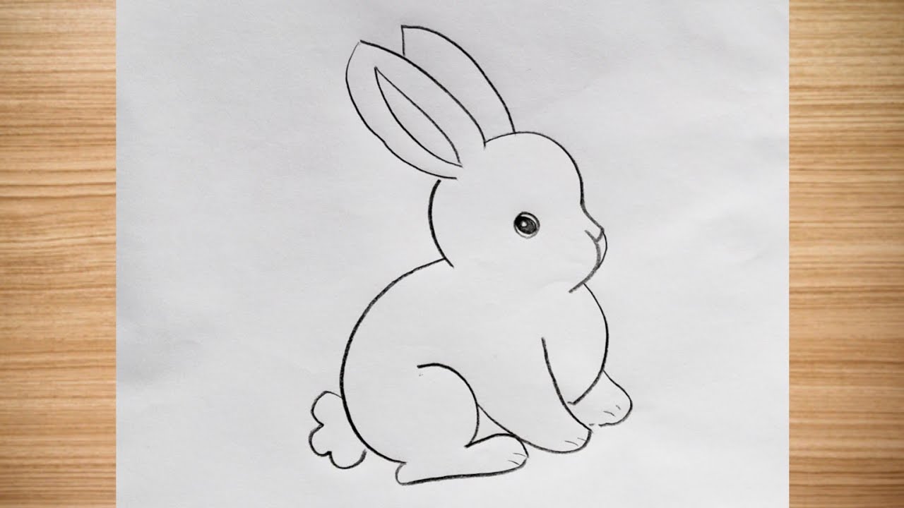 Small Rab Easy Draw How to draw rabbit drawing easy step by step@DrawingTalent - YouTube