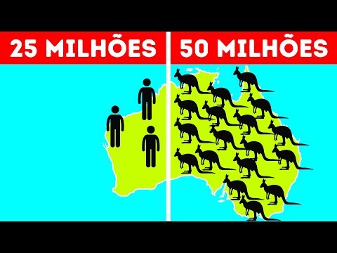 Vídeo: Por Que Existem Muitos Marsupiais Na Austrália