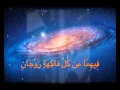 سورة الرحمن لفضيلة الشيخ عمر عبد الرحمن