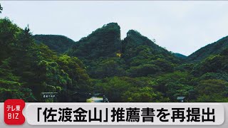 「佐渡金山」推薦書を再提出　2024年世界遺産登録目指す（2023年1月20日）