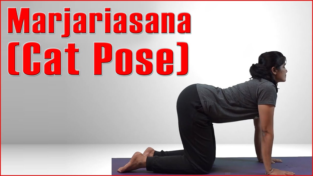Ashtanga Yoga: Marjariasana (Cat Pose) | Migraine