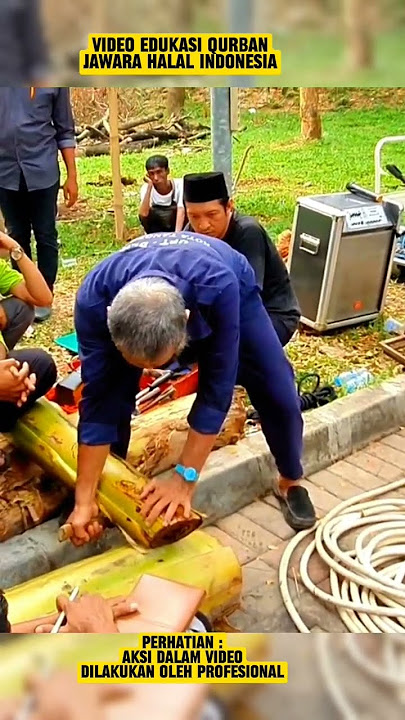 Tip Eksekusi Sapi Agar Tidak Ngegodot - Oleh Engkong Syahrul