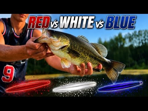 RED vs WHITE vs BLUE Senkos! HEAVIEST BASS Bag WINS!