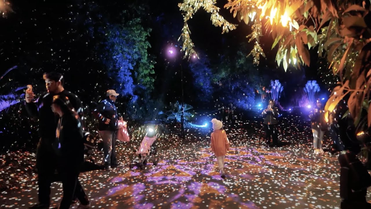 The sights and sounds of Lightscape