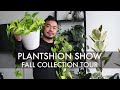 Indoor Plant Tour - Fall 2020 | Houseplant Collection Growth Updates