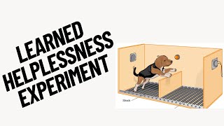 The Learned Helplessness Experiment A Key To Understanding Resilience And Mental Health