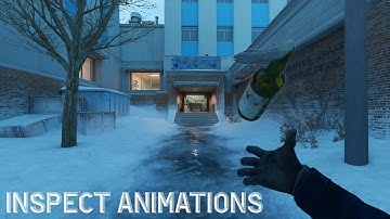 Counter Strike 2: All the grenade inspect animations