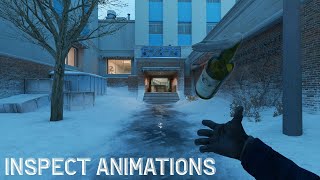 Counter Strike 2: All the grenade inspect animations