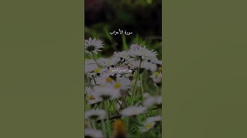 إِنَّ اللَّهَ وَمَلائِكَتَهُ يُصَلُّونَ عَلَى النَّبِيِّ #سورة_الأحزاب|#علي_جابر #رحمه_الله