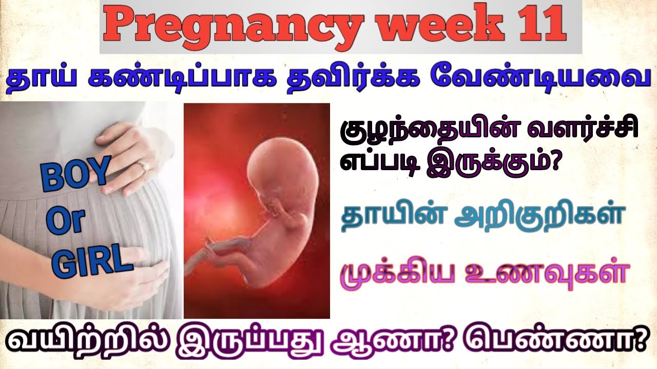 Pregnancy week by week.