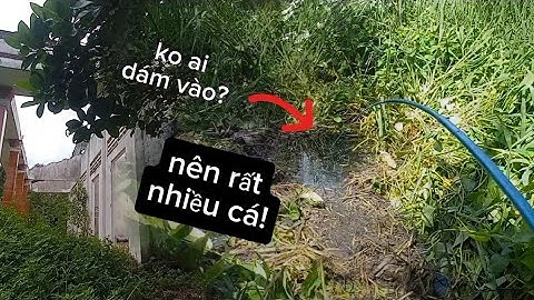 CÂU CÁ RÔ ĐỒNG,Liều Mình Đi Vào Ngôi Nhà Hoang 🥶 Săn"Thủy Quái".Trung Miền Tây.T253