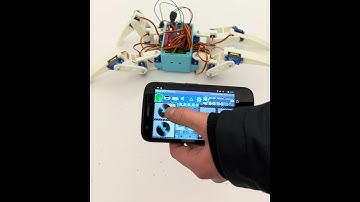 Controlling Spider Robot