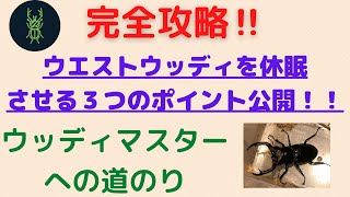 完全攻略✨ウエストウッディを休眠させる３つのポイント！！