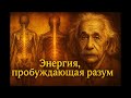 Нейроучёные потрясены древним дыхательным методом, который перепрограммирует мозг за минуты!