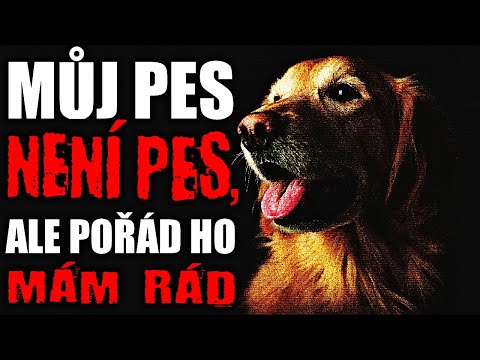 Video: Můj pes nedovolí, aby mu ostatní psi ucítili