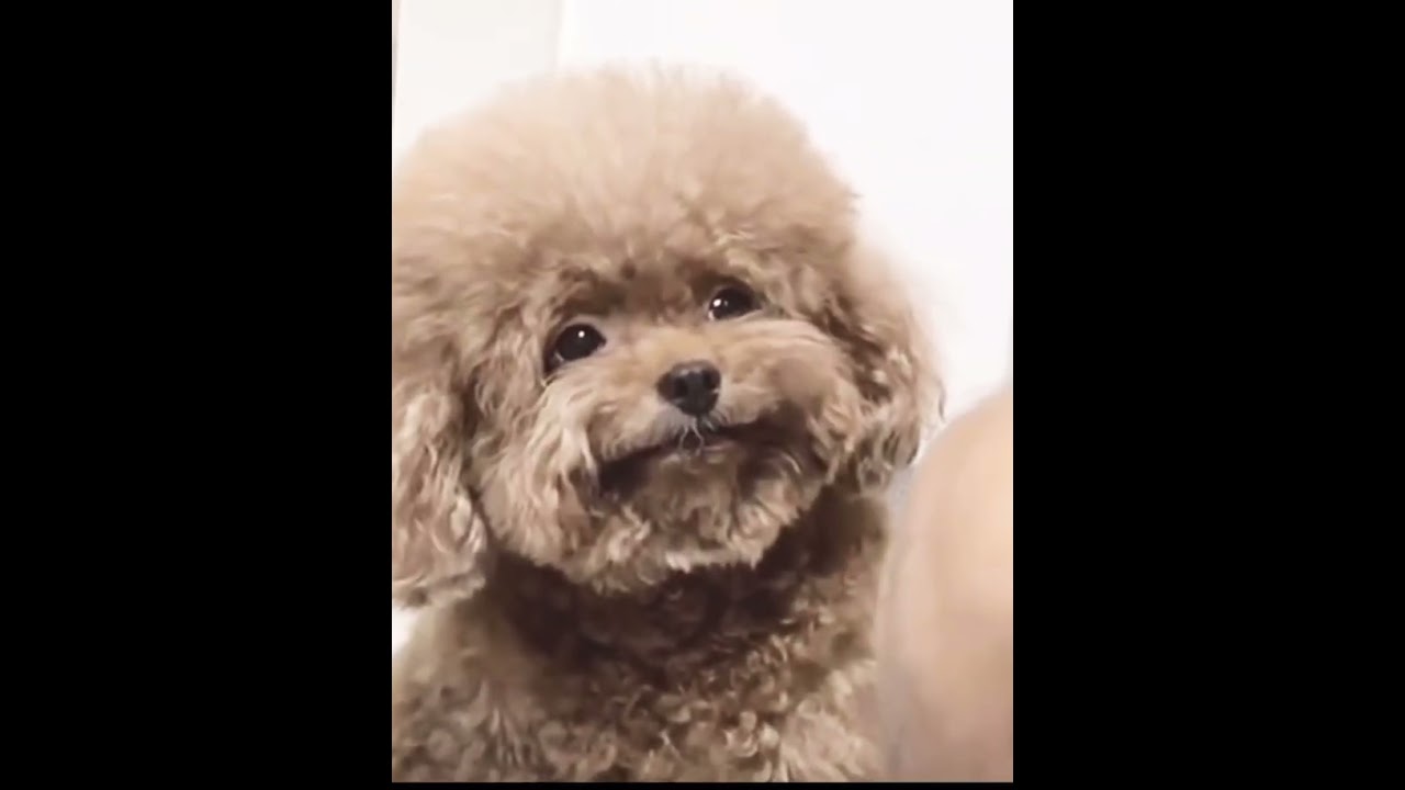 I’VE SMOKED POT !?!