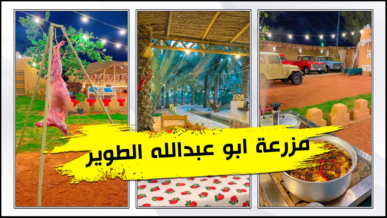 أجواء خيالية بمزرعة ابو عبدالله الطوير